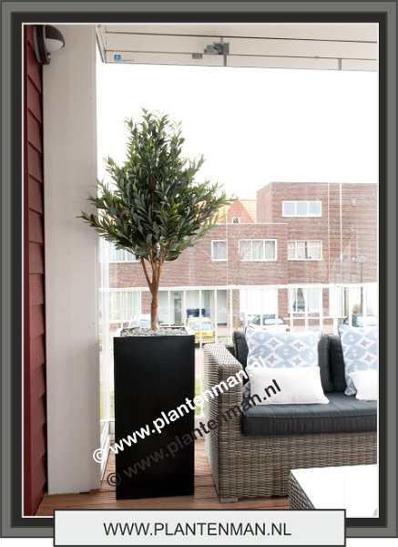 olijf 130 cm in bouvy black 2